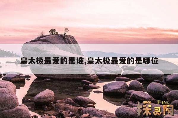 皇太极最爱的是谁,皇太极最爱的是哪位