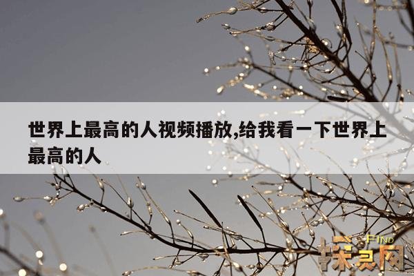 世界上最高的人视频播放,给我看一下世界上最高的人