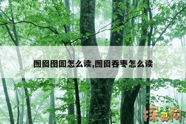 囫囵囹圄怎么读,囫囵吞枣怎么读