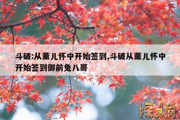 斗破:从薰儿怀中开始签到,斗破从薰儿怀中开始签到御前兔八哥