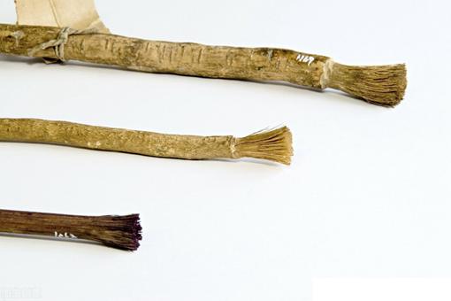 第一把牙刷的发明者是谁?古代人是怎么刷牙的? 第一把牙刷的发明者是谁?古代人是怎么刷牙的?