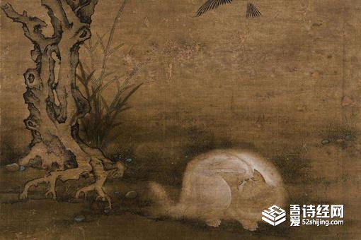 逼兜是什么意思 逼兜是哪里的方言