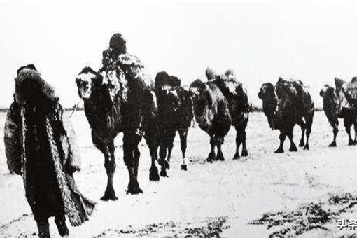 走西口是什么意思?这个西口是指的什么地方? 走西口是什么意思?这个西口是指的什么地方?