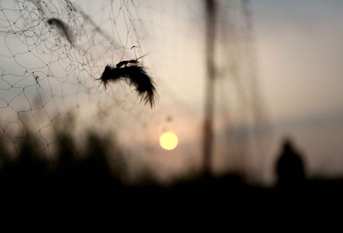 陶朱公生意经十六字诀 陶朱公生意经十六字诀