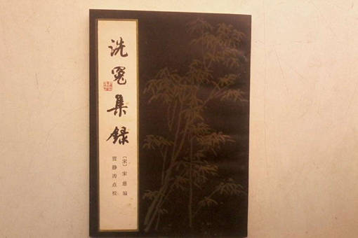 历史上真的有宋慈吗?历史上的宋慈是个怎样的人?