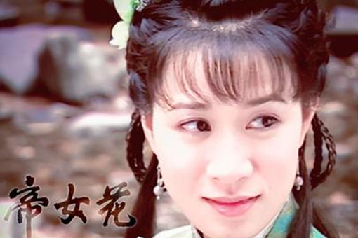 长平公主怎么死的?长平公主死时为何有身孕?