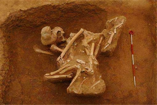 胡亥有多昏庸 秦始皇女儿嬴阴嫚墓导出真相 胡亥有多昏庸 秦始皇女儿嬴阴嫚墓导出真相