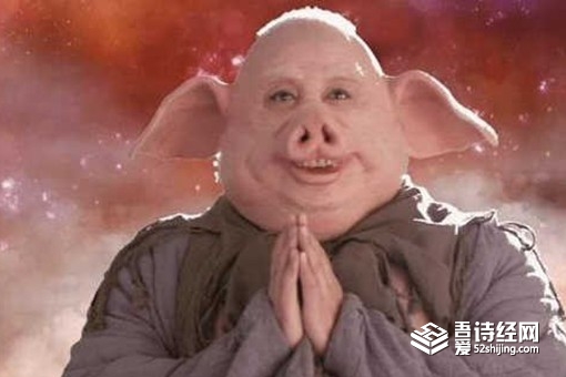 生死薄为什么没有猪八戒的名字