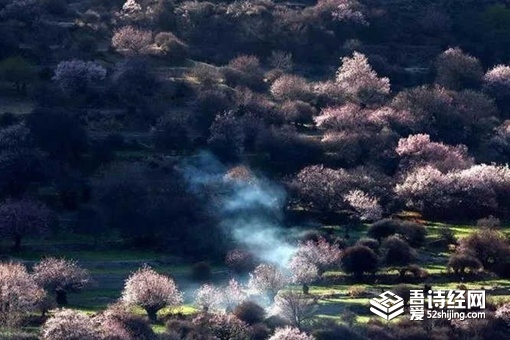 桃花源记中的桃花源是什么地方 历史上真的有桃花源吗