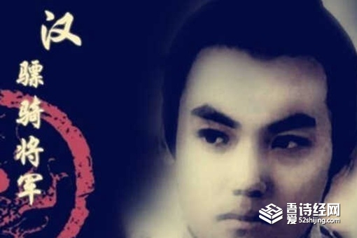 卫青和霍去病谁的功劳更大