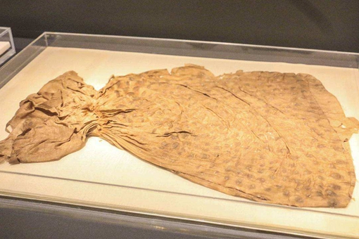 辛追真实历史 辛追夫人的真实身份 辛追真实历史 辛追夫人的真实身份