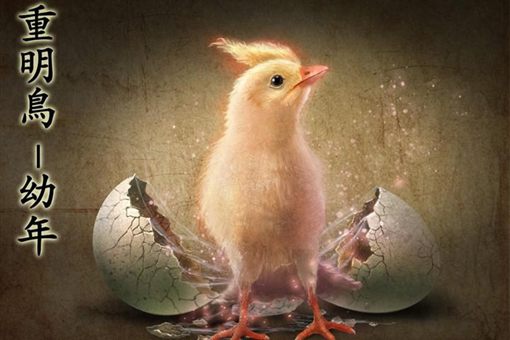 重明鸟长什么样子 重明鸟的传说故事 重明鸟长什么样子 重明鸟的传说故事