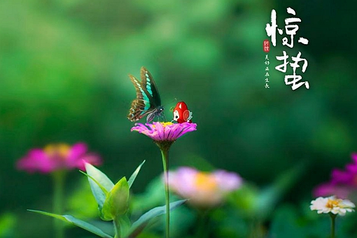 惊蛰的蛰是什么意思