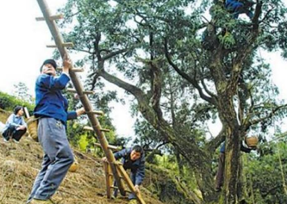 十大盗墓工具名称 盗墓必备的十大工具(含图片大全)