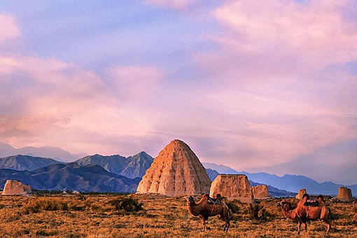 西夏最有作为的皇帝是谁