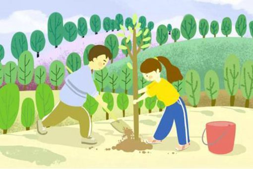 描写植树节的美句,描写植树节的美句简短