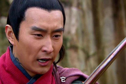 杨再兴是杨家将的后代吗?杨再兴是谁的后代? 杨再兴是杨家将的后代吗?杨再兴是谁的后代?