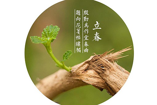 咬春习俗一般吃哪种蔬菜