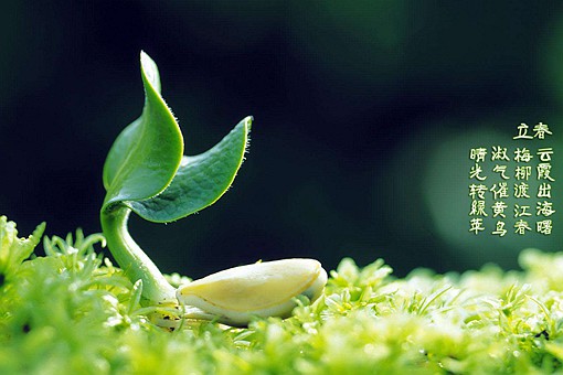 躲春是什么意思 躲春怎么躲2021