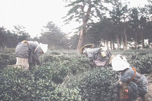 明治维新成功的根本原因是什么?日本维新三大重点原因解析 明治维新成功的根本原因是什么?日本维新三大重点原因解析