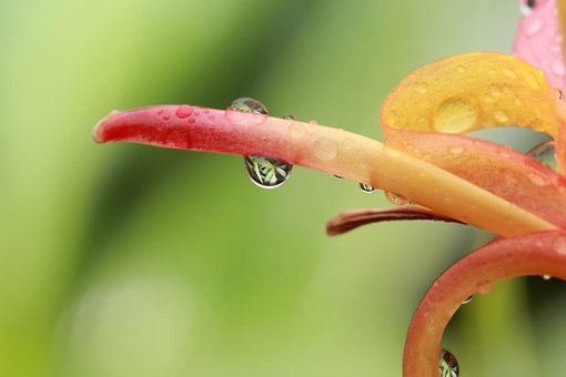 为什么每年开学总是下雨 为什么一开学就下雨