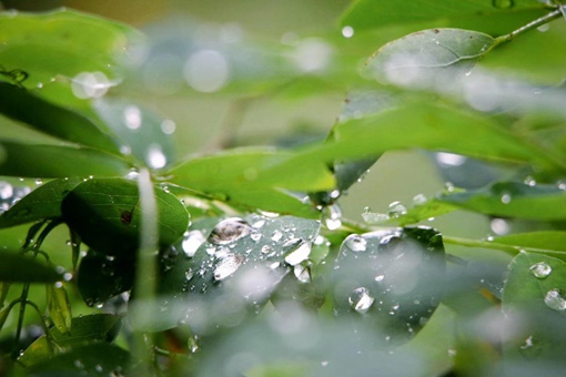 为什么每年开学总是下雨 为什么一开学就下雨