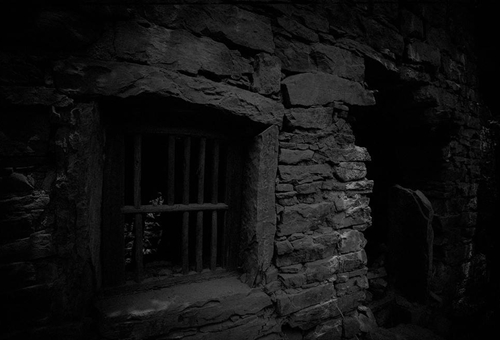 夜狸猫事件真假 夜狸猫事件真相揭秘 夜狸猫事件真假 夜狸猫事件真相揭秘