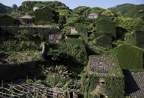 夜狸猫事件真假 夜狸猫事件真相揭秘 夜狸猫事件真假 夜狸猫事件真相揭秘