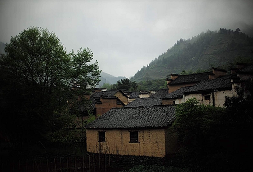 夜狸猫事件真假 夜狸猫事件真相揭秘 夜狸猫事件真假 夜狸猫事件真相揭秘