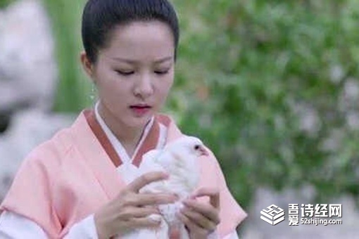 古代真的有飞鸽传书吗 飞鸽传书是怎么做到的