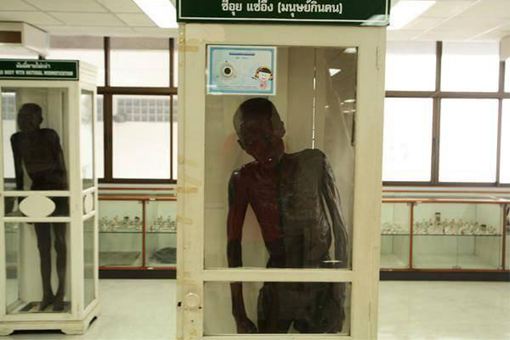 细伟真的吃小孩吗 细伟真的吃人吗 细伟真的吃小孩吗 细伟真的吃人吗