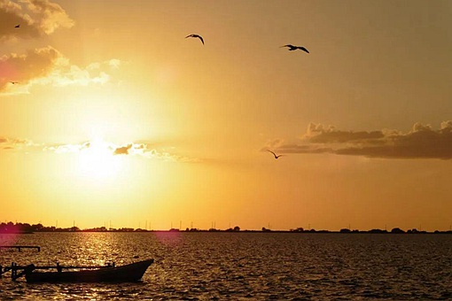 老不泄残精 少不食壮火是什么意思全文又是什么