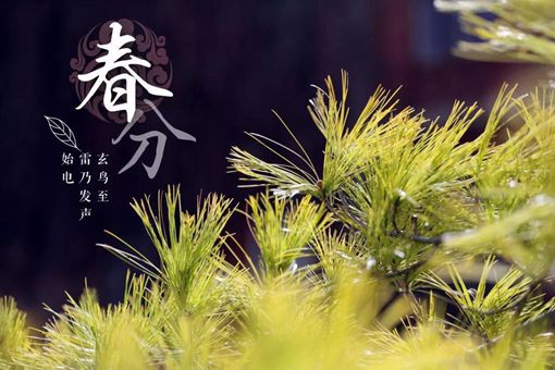 春分竖蛋的意义是什么 春分三候是什么意思 春分竖蛋的意义是什么 春分三候是什么意思