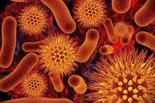 埃博拉病毒怎么来的 埃博拉病毒死了多少人