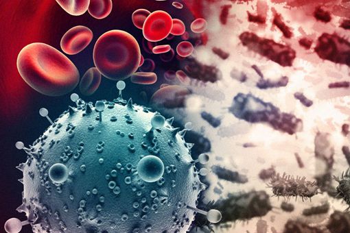 埃博拉病毒怎么来的 埃博拉病毒死了多少人