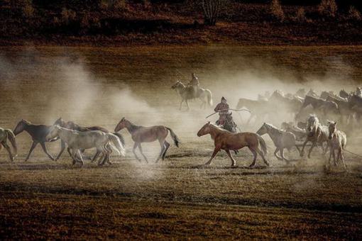 端午节屈原的故事传说 端午节关于屈原的故事 端午节屈原的故事传说 端午节关于屈原的故事