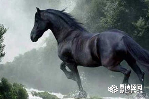 古代十大战马排名 古代战马速度有多快