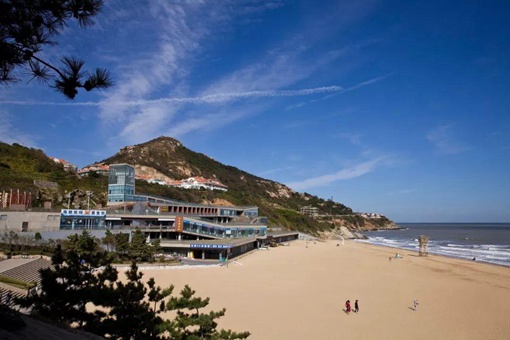 空中码头打一江苏城市答案