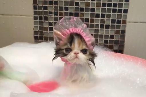 腊月二十七有什么风俗 腊月二十七干的事是什么