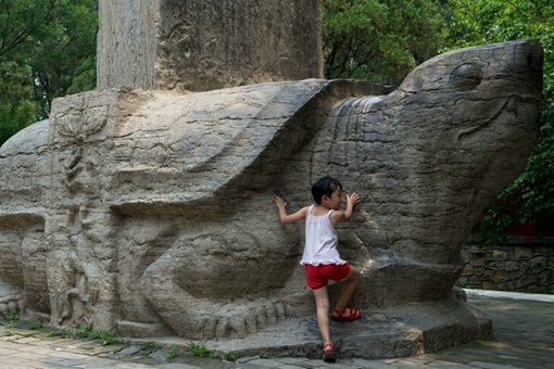 为什么乌龟驮着石碑 有什么意义 为什么乌龟驮着石碑 有什么意义