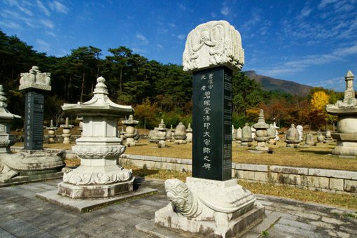 为什么乌龟驮着石碑 有什么意义 为什么乌龟驮着石碑 有什么意义