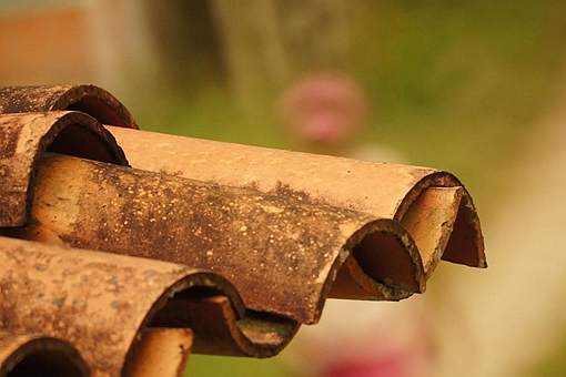 2021年是寡妇年吗 2021年寡妇年可以结婚生小孩吗