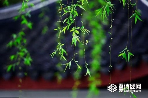 古代寒食节比清明节更重要 曹操为什么要废除寒食节