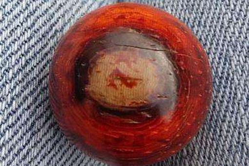 雮尘珠为什么在献王墓 雮尘珠为什么在献王墓