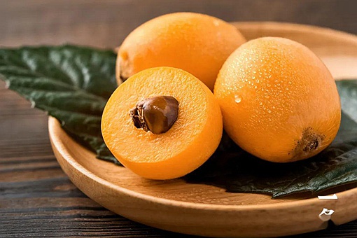 枇杷起源于哪里 枇杷原产地到底是中国还是日本