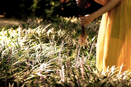 我不杀伯仁伯仁却因我而死是什么意思?伯仁典故出处介绍 我不杀伯仁伯仁却因我而死是什么意思?伯仁典故出处介绍