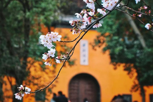 南京鸡鸣寺求姻缘灵吗 鸡鸣寺求姻缘准的可怕