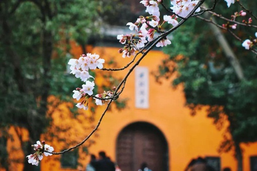 南京鸡鸣寺为什么出名 鸡鸣寺许愿有什么讲究