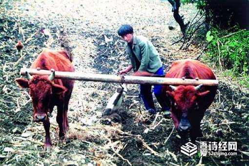 抬杠在古代是一种习俗?抬杠是怎么来的?