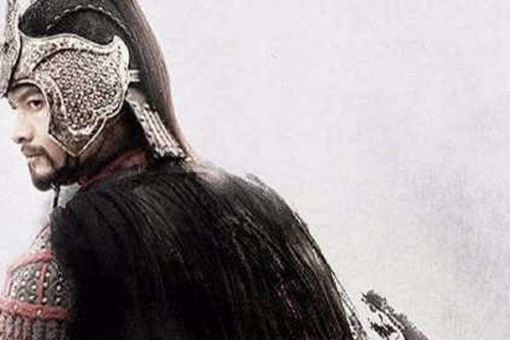 宋高宗为什么用十二道金牌召回岳飞